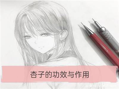 杏子的功效与作用 有何禁忌_莲藕的功效与作用 有何禁忌